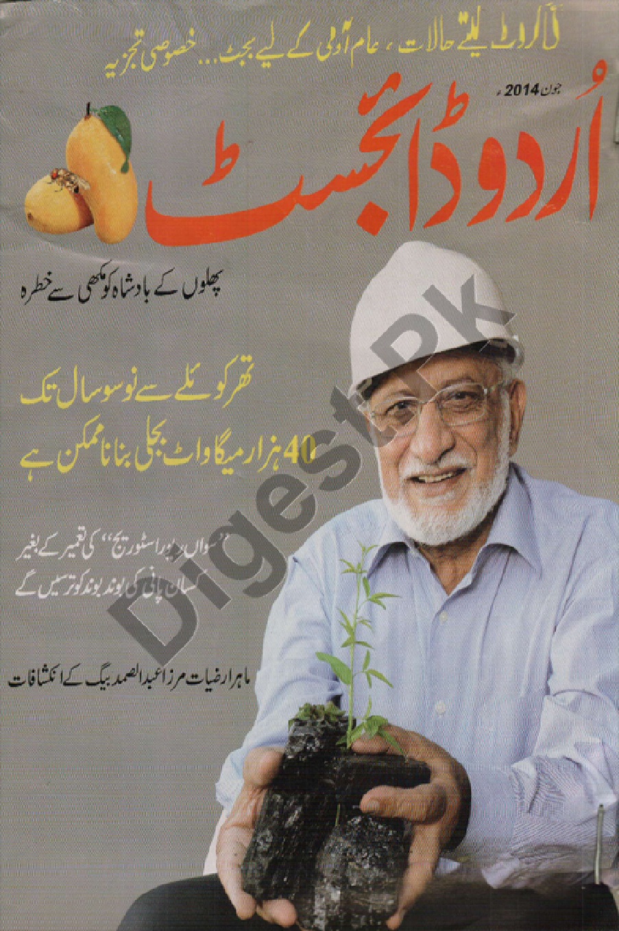 Urdu Digest June 2014 1